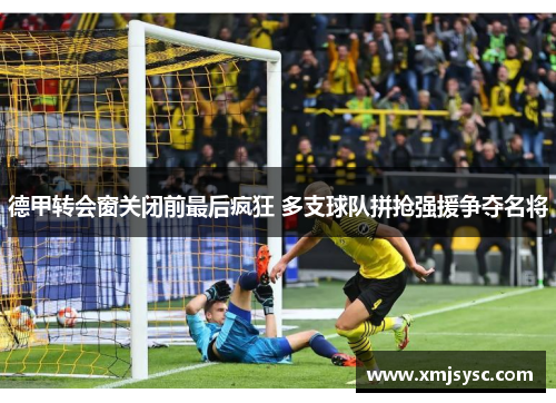 德甲转会窗关闭前最后疯狂 多支球队拼抢强援争夺名将