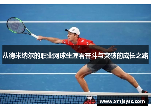 从德米纳尔的职业网球生涯看奋斗与突破的成长之路