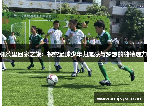 佩德里回家之旅：探索足球少年归属感与梦想的独特魅力