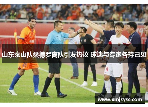 山东泰山队桑德罗离队引发热议 球迷与专家各持己见