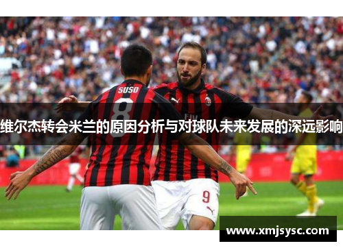 维尔杰转会米兰的原因分析与对球队未来发展的深远影响